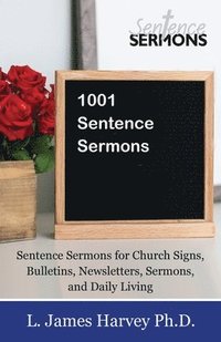 bokomslag 1001 Sentence Sermons