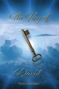 bokomslag Key of David