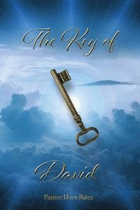 bokomslag The Key of David