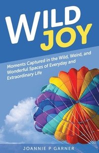 bokomslag Wild Joy
