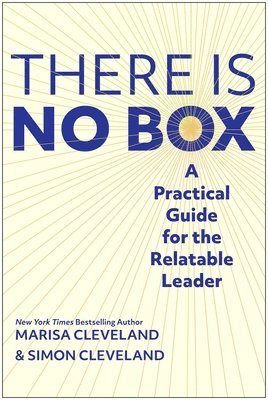 bokomslag The There Is No Box