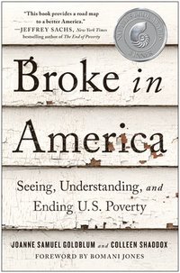 bokomslag Broke in America