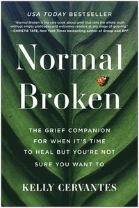 bokomslag Normal Broken