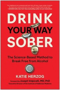 bokomslag Drink Your Way Sober