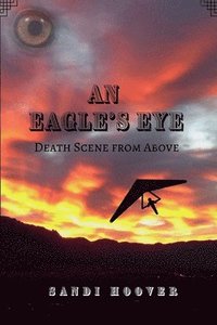bokomslag An Eagle's Eye