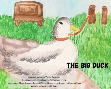 bokomslag Big Duck