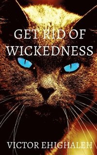 bokomslag Get Rid of Wickedness