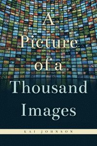 bokomslag Picture of a Thousand Images
