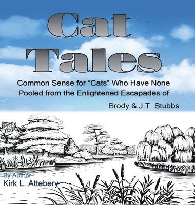 bokomslag Cat Tales