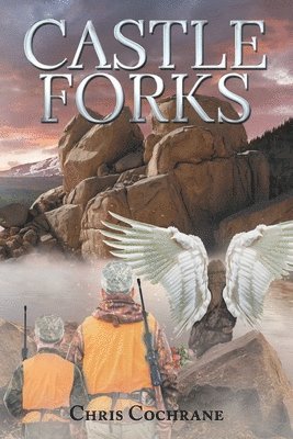 Castle Forks 1