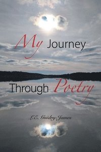 bokomslag My Journey Through Poetry