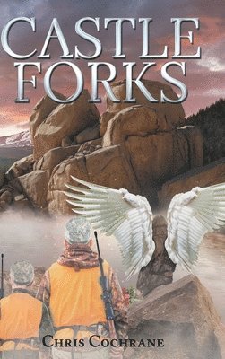 Castle Forks 1