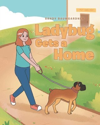 bokomslag Ladybug Gets a Home