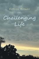 bokomslag Challenging Life