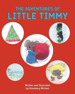 The Adventures of Little Timmy 1