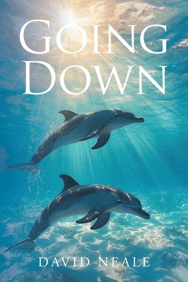 David Neale - Going Down, Häftad