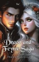 Draco and Feynx Saga 1