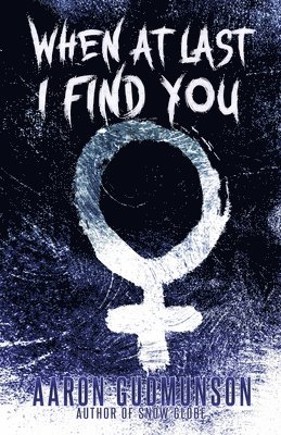 Aaron Gudmunson - When at Last I Find You, Häftad