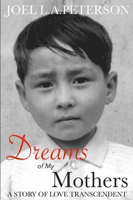Joel L a Peterson, Joel L. a. Peterson, Joel L. A. Peterson - Dreams of My Mothers, Häftad