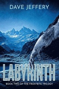 bokomslag Labyrinth
