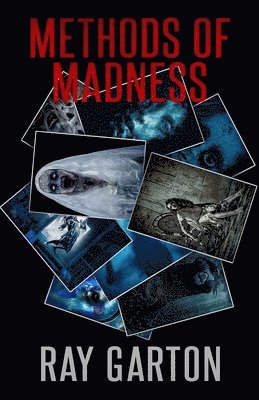 Ray Garton - Methods of Madness, Häftad