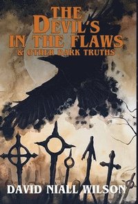 bokomslag The Devil's in the Flaws & Other Dark Truths