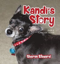 bokomslag Kandi's Story