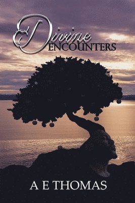 Divine Encounters 1