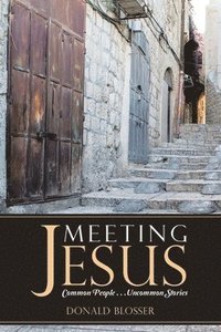 bokomslag Meeting Jesus