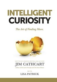 bokomslag Intelligent Curiosity