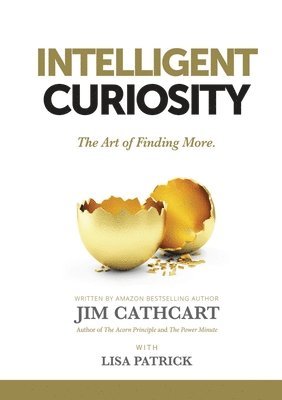 Intelligent Curiosity 1