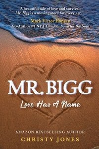 bokomslag Mr. Bigg