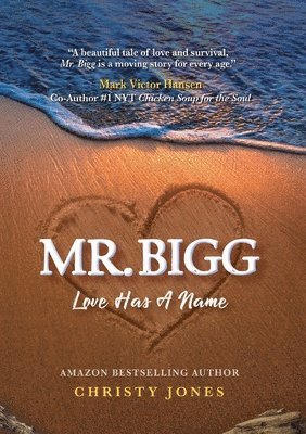 Mr. Bigg 1