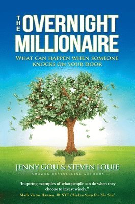 bokomslag Overnight Millionaire