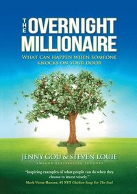 bokomslag Overnight Millionaire