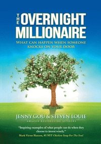 bokomslag The Overnight Millionaire