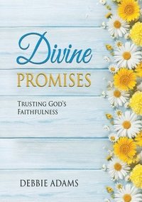 bokomslag Divine Promises