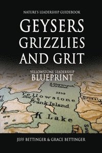 bokomslag GEYSERS, GRIZZLIES AND GRIT Nature's Leadership Guidebook