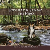 bokomslag Towhead and Sammy The Hero