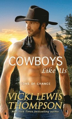 bokomslag Cowboys Like Us