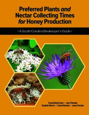 David Macfawn, Jennifer M K O'Keefe, Sophie Warny, Carol Wymer, June Ponder - Preferred Plants and Nectar Collecting Times for Honey Production, Häftad