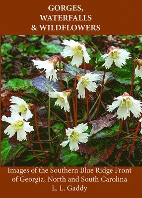 bokomslag Gorges, Waterfalls & Wildflowers