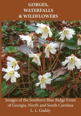 Gorges, Waterfalls, and Wildflowers 1