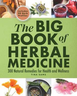 bokomslag The Big Book of Herbal Medicine: 300 Natural Remedies for Health and Wellness