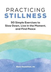bokomslag Practicing Stillness