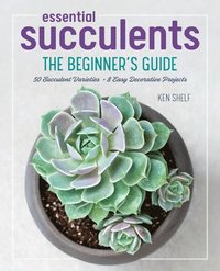 bokomslag Essential Succulents: The Beginner's Guide