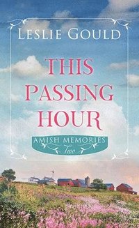 bokomslag This Passing Hour
