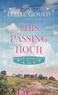 bokomslag This Passing Hour: Amish Memories