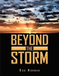 bokomslag Beyond The Storm