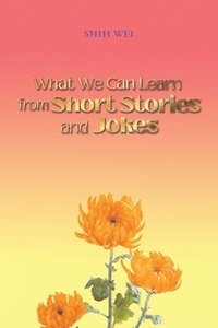 bokomslag What We Can Learn From Short Stories And Jokes